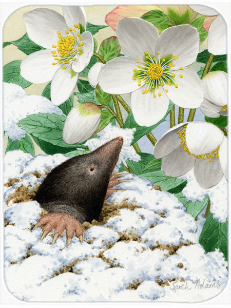 Planche à découper en verre mole caroline