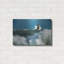Breakwater Bay «Whaleback» par Rick Berk, art mural en métal-322597830