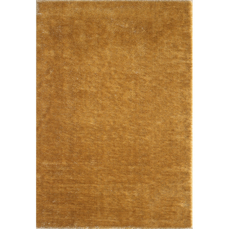 Widger Shaggy Indoor / Outdoor Area Rug, Rectangle 60cm x 110cm
