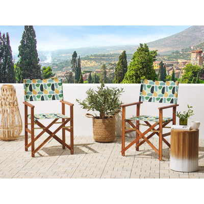 Tonio Fabric Patio Folding Chair Folding Chair Set