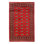 Gaurika Oriental Area Rug