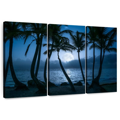 Palmiers de Pointe de Cana, la nuit