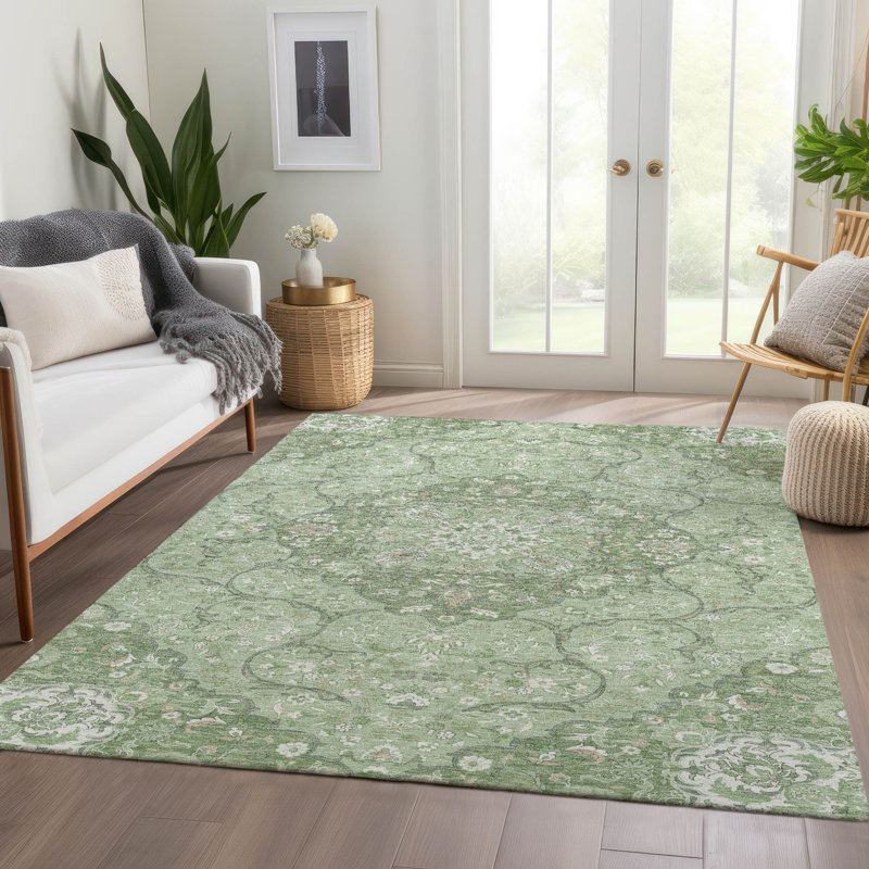 Machine Washable Indoor/Outdoor Claudian ACN1677 Aloe Rug, Rectangle 3' x 5'