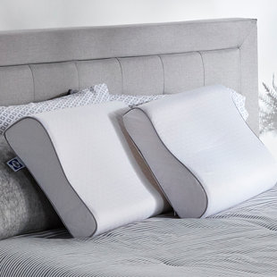 https://assets.wfcdn.com/im/49320686/resize-h310-w310%5Ecompr-r85/1978/197880677/sealy-essentials-contour-bed-pillow.jpg