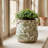 Vintage Rustic Ceramic Planter & Vase, French Country Flower Pot for Indoor Plants & Home Garden Decor-322899788