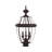 Arelene Lantern Head-1387936255-1387936131