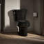 Wellworth® 1.28 GPF (Water Efficient) Round Two-Piece Toilet  (Seat Not Included)-10980021-101431097