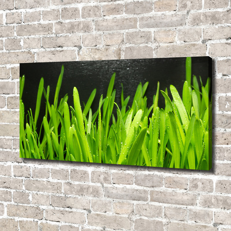 Grass - Wrapped Canvas Print