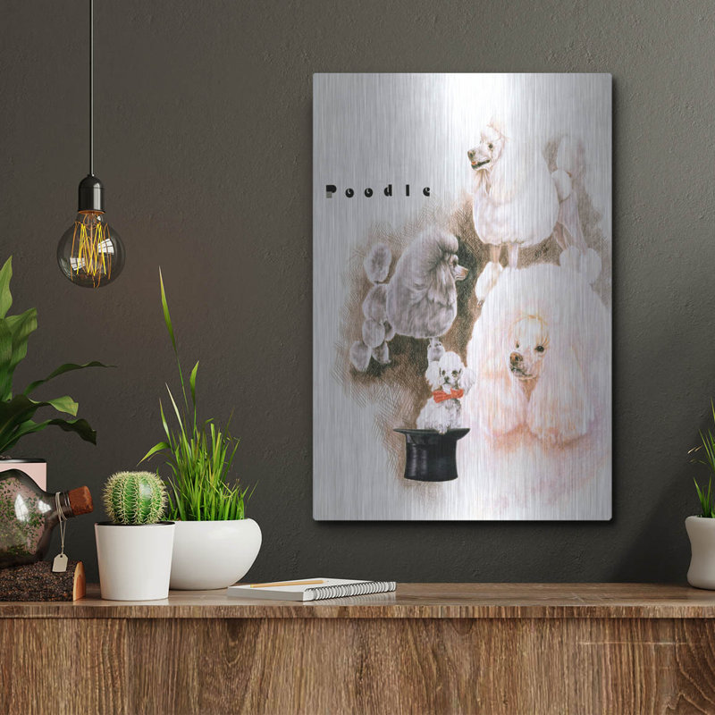 «Poodle 2» par Barbara Keith, H 16 po x l 12 po