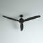 Ventilateur de plafond noir Akmani-1129674317