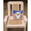  Coussin 14 "American Flag-1560286194-1560604469