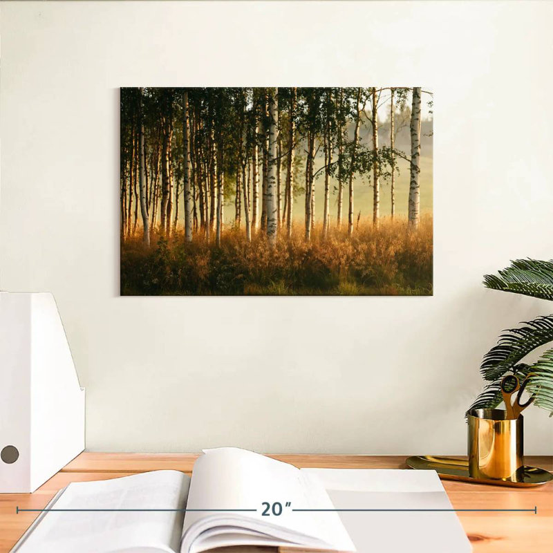 Forêt de bouleaux Harnek Grassy, H 8 po x l 12 po