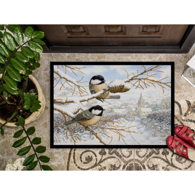 Non-Slip Outdoor Doormat