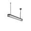 Paloma Golpe 2 - Light Pendant