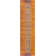 Hertzler Oriental Orange / Multi Area Rug