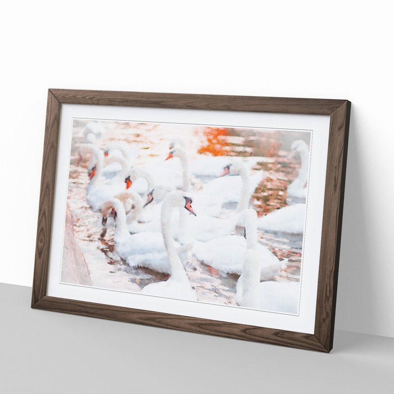 White Swans - Picture Frame Painting, 27cm H x 36cm W x 2cm D, Walnut Framed