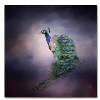Vidur «Peacock 11», impression sur toile tendue