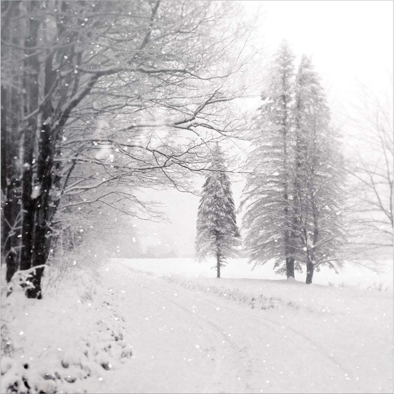 «Let It Snow II» par Sue Schlabach, art mural encadré
