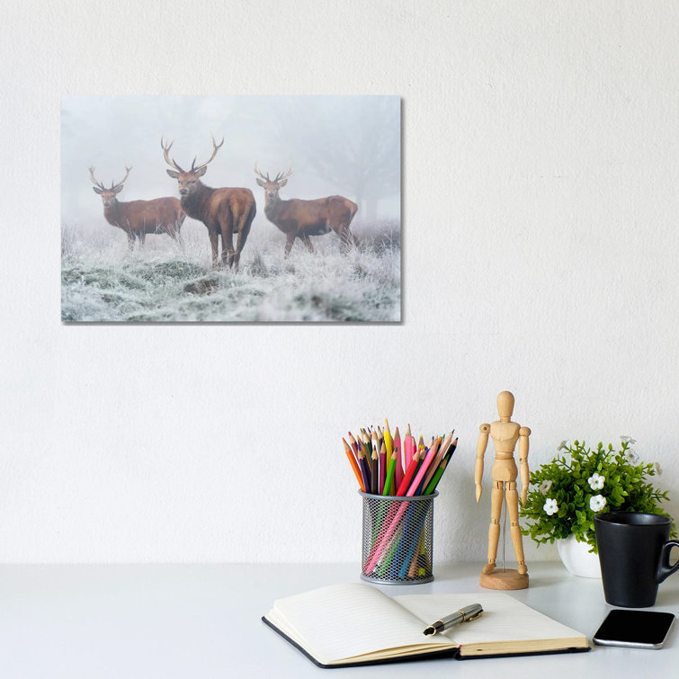 Fogbound by Max Ellis - Wrapped Canvas Print