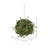 Artificial Green Angel Vine Kissing Ball-93008927