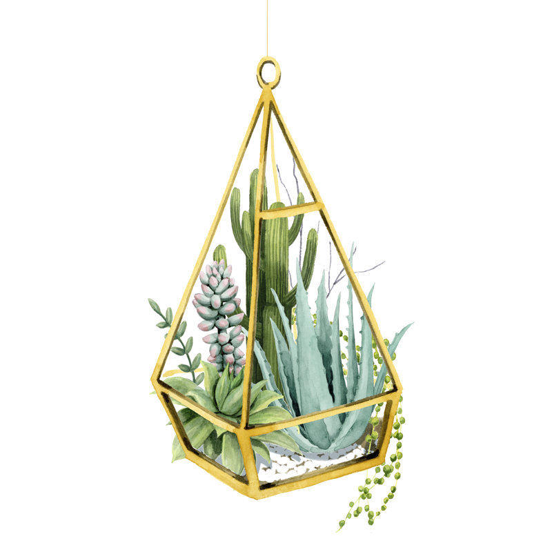 Wild Terrarium III, H 30 po x l 20 po x P 1,25 po