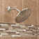 Moen Wide Round Rain Shower Head for Bathroom with 2 GPM High-Pressure Rainfall Spray