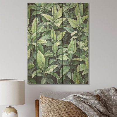 Green Wise Sage - Herbes florales sur bois