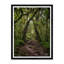 Rainforrest Print by Tim Klein