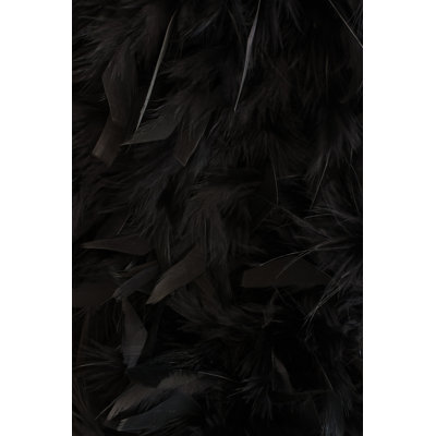 Black Feathers - Wrapped Canvas Print