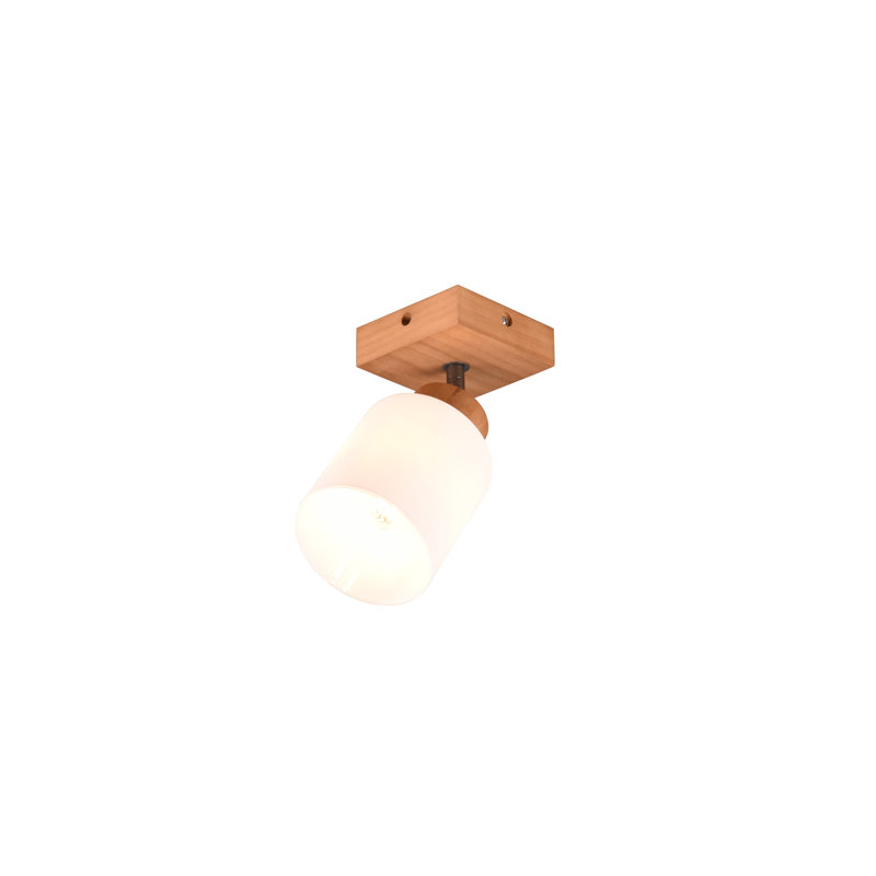 Kayl 1-Light 10cm Ceiling Spotlight