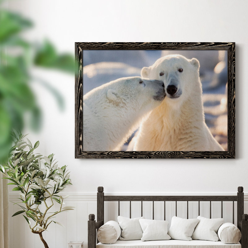 Baiser d'ours polaire - photographie sur toile, H 37,5 po x l 27,5 po x P 1,5 po, Noir