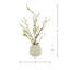 Cherry Blossom Stems in Fiberstone Pot-1575217981