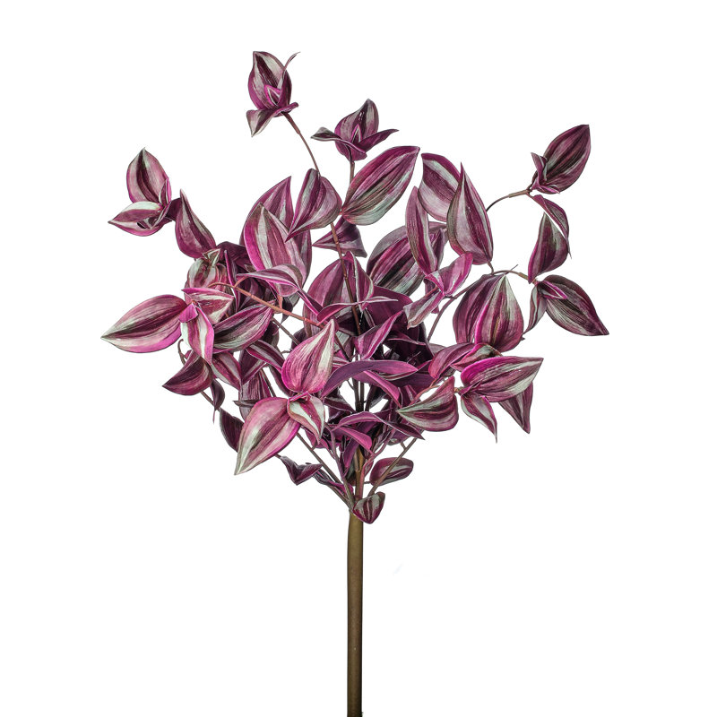Buisson 19 "UV Tradescantia