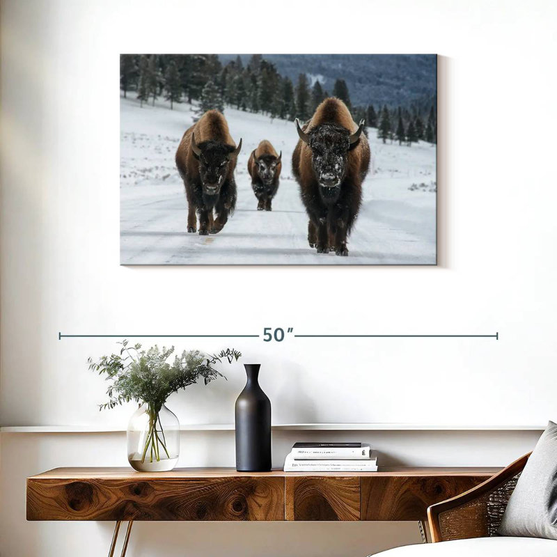 Photographie d'un bison de Brampt à Yellowstone, H 24 po x l 36 po