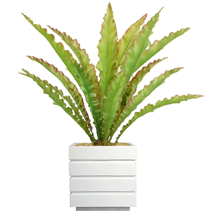 Plante grasse artificielle Bragdon en pot