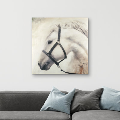 Darius the horse - 32"x32" art on canvas