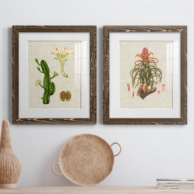 Elegant Tropicals III - impression d'art graphique, H 20 po x l 17 po x P 1 po, Papier, cadre noyer, Blanc