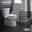 Accoudoirs de toilette