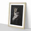 Owl - Framed Print-56856986-56856991