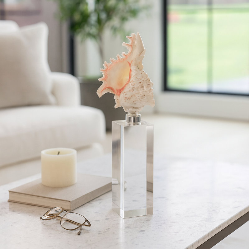 Oakden Coastal Seashell Sculpture Figurine With Crystal Base - Decorations For Living Room And Decorative Home Objects - Ivory/Clear