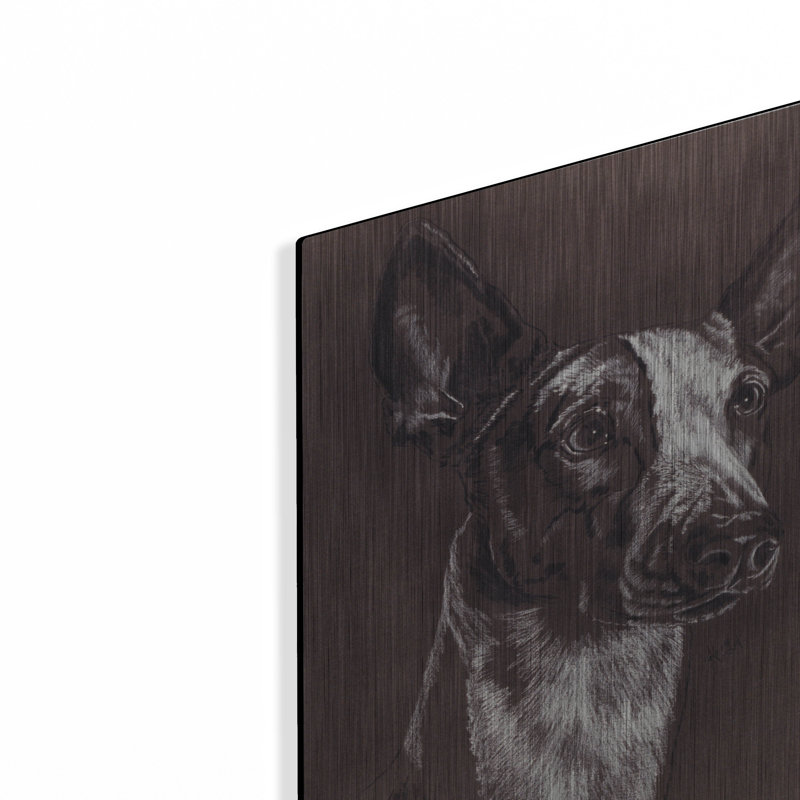 «Ibizan Hound» par Barbara Keith, H 16 po x l 12 po