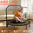 48" Foldable Mini Trampoline,Max Load 550Lbs Indoor Trampoline,With 4 Level Adjustable Foam Handle And Resistance Bands,Adult Exercise Trampoline For Home, Garden, And Gym-114292824