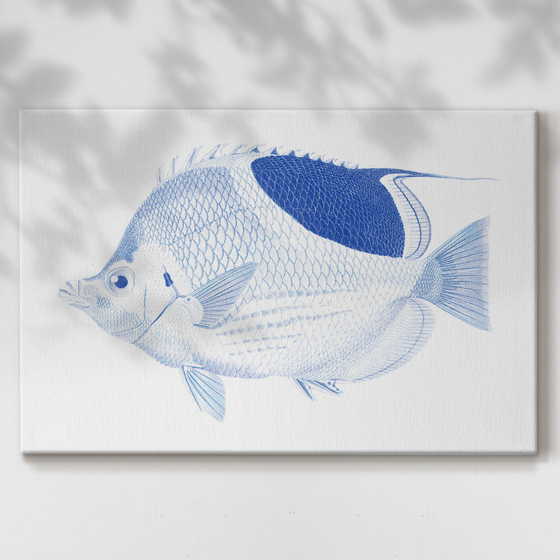 Poisson tropical bleu et blanc I - Cavas enveloppés de galerie, 40 x 60