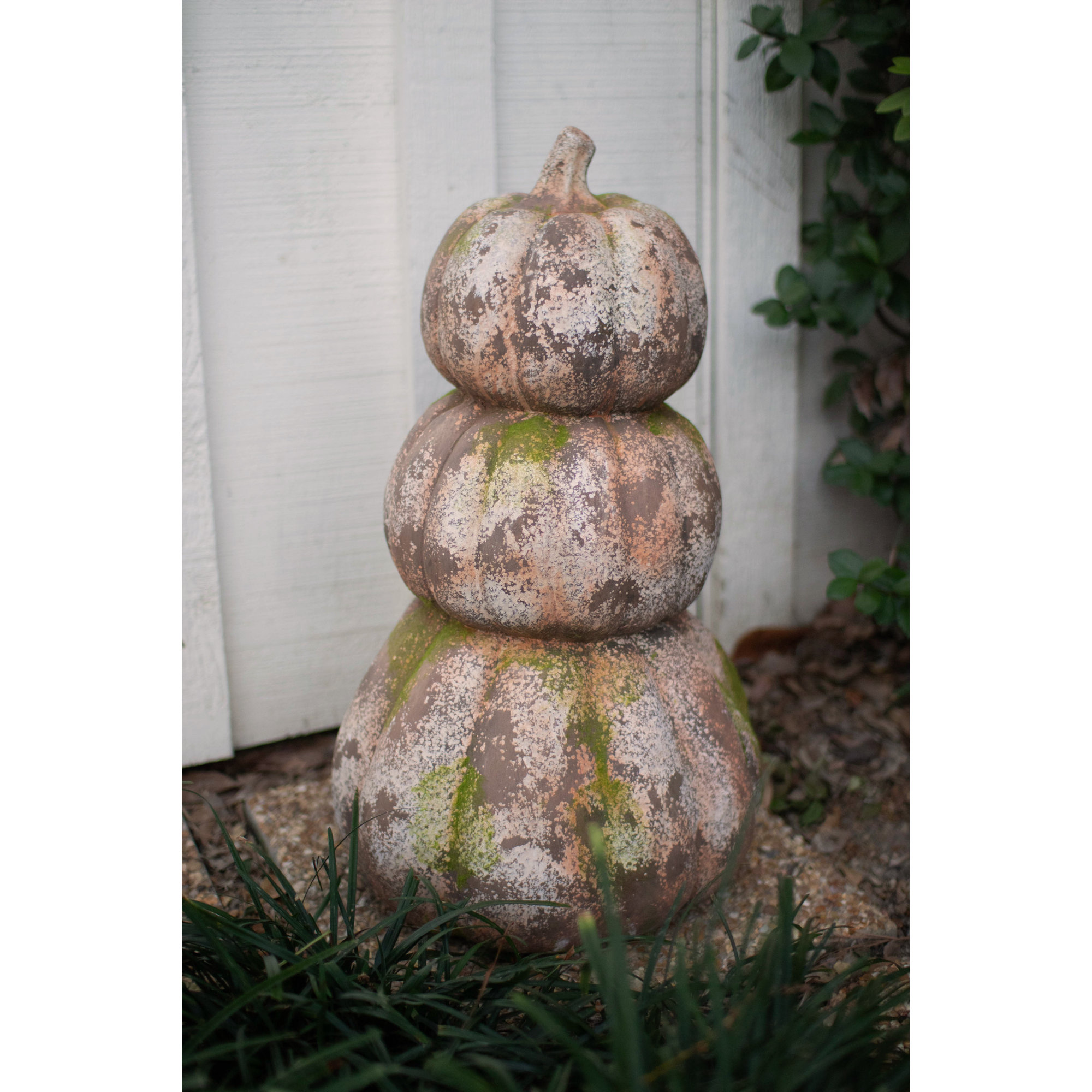 Halloween Decorative Accent