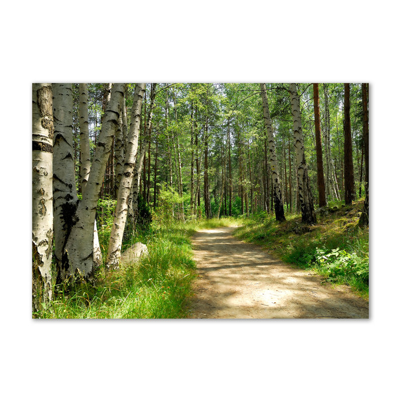 Path In The Forest - Wrapped Canvas Print