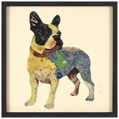 " Boston Terrier " by Alex Zeng