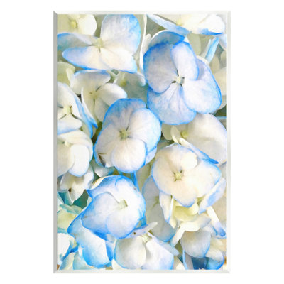 «Blue Pansies» par GraffiTee Studios