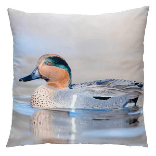 Alfonso Reversible Throw Pillow