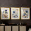 FLORAL Series LXIV - Impression sur mesure encadrée de qualité supérieure - 3 pièces-1857456636-1857456639