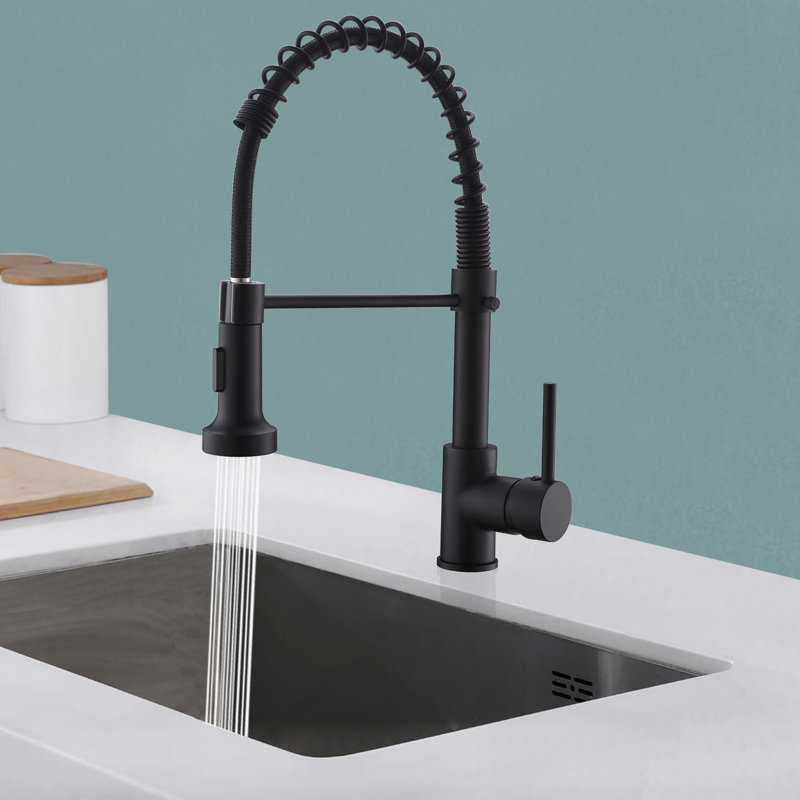 Robinet de cuisine avec douchette rétractable, robinets de cuisine en laiton massif, robinet de lavabo à poignée simple, lavabo commercial